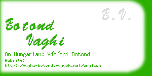 botond vaghi business card